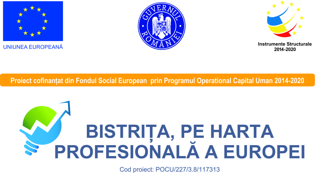 Comunicat de presă - Proiectul „Bistrița, pe harta profesională a Europei”