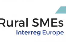 Proiect Rural SMEs – INFO DAY – 20.06.2019